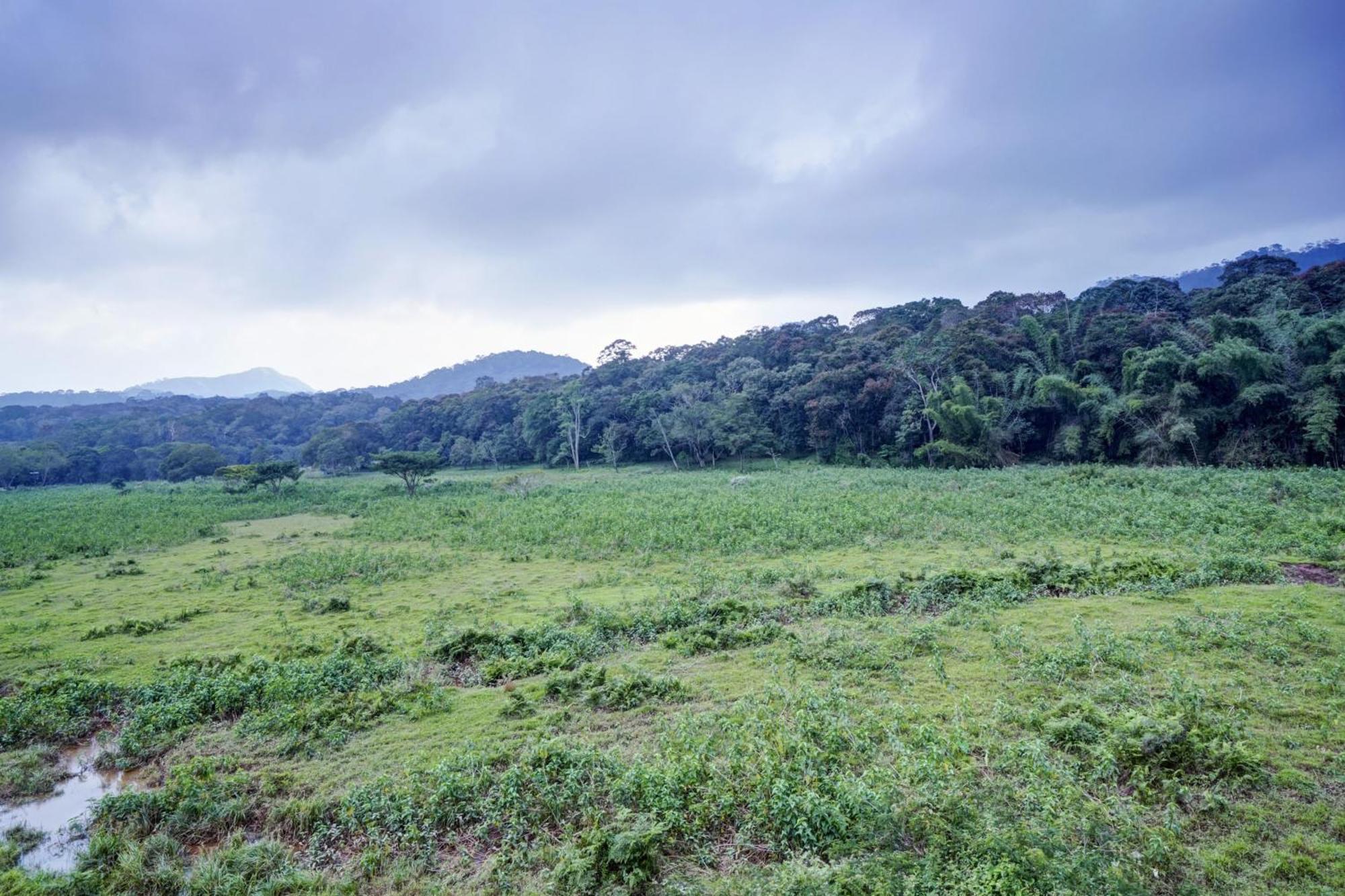Oyo Flagship Meadow View Inn Thekkady Eksteriør billede